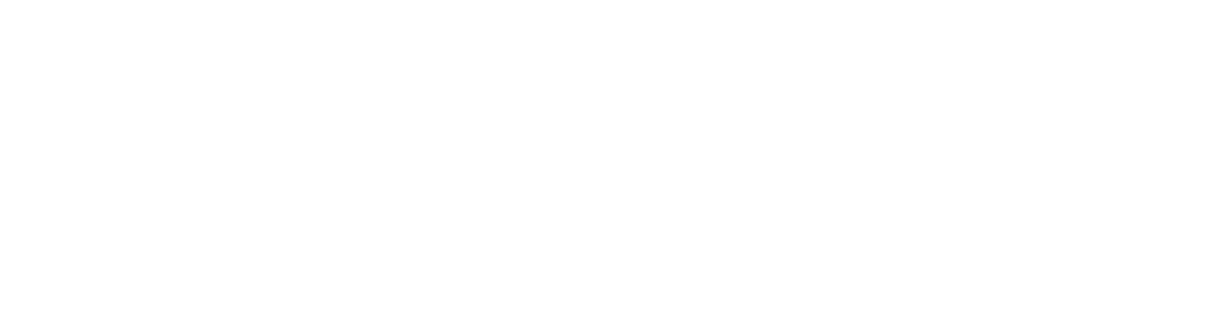 Pioneer vision group